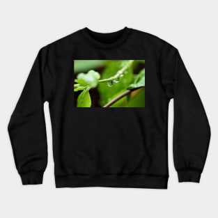 Shiny dew drop with image of a leaf Crewneck Sweatshirt